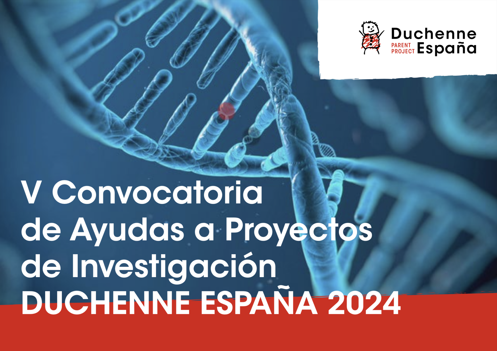 V Convocatoria de Ayudas a Proyectos de Investigación DUCHENNE ESPAÑA ...